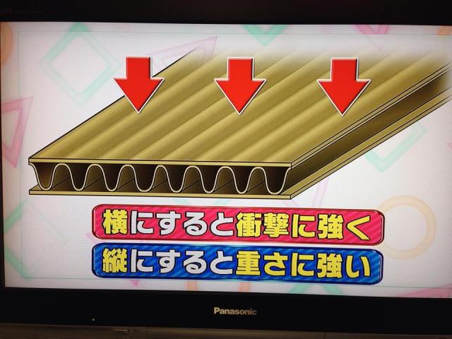 ダンボール椅子強度実験「かがくdeムチャミタス」